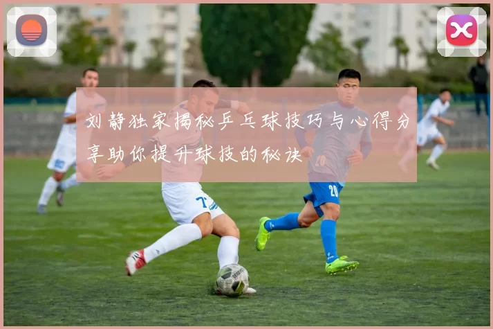 刘静独家揭秘乒乓球技巧与心得分享助你提升球技的秘诀