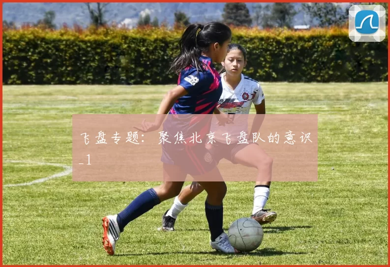 飞盘专题：聚焦北京飞盘队的意识_1