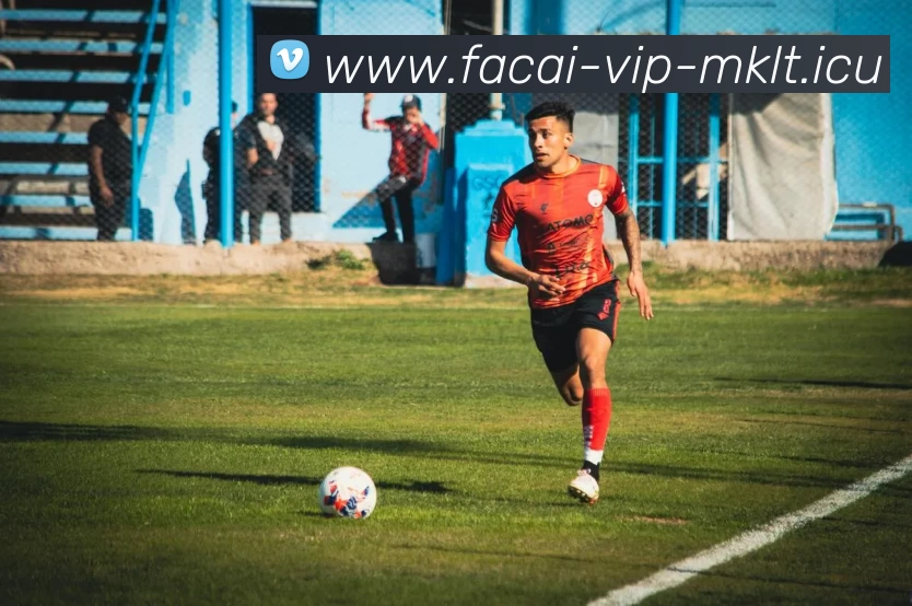 App Interface Preview