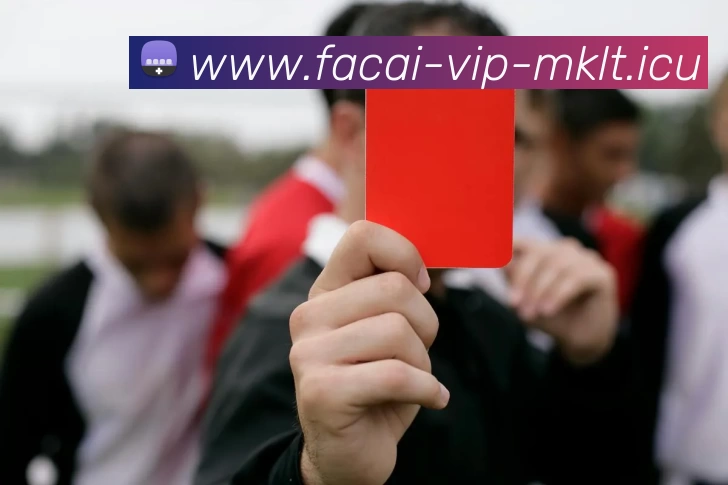 乐鱼体育APP 封面图